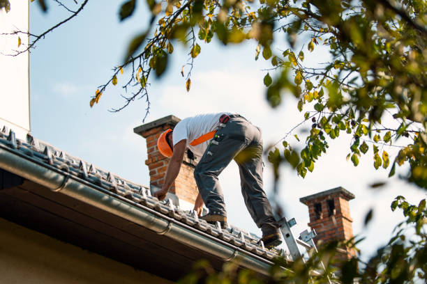 Best Storm Damage Roof Repair  in Meridianville, AL