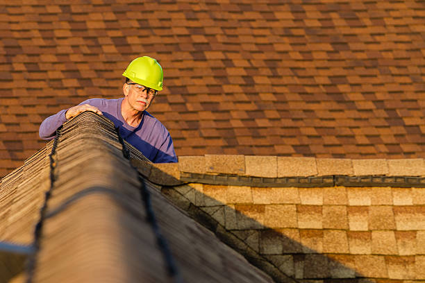 Best Roof Replacement Cost  in Meridianville, AL