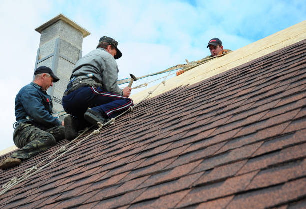 Best Metal Roofing Contractor  in Meridianville, AL