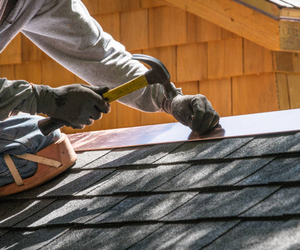 Best Roof Waterproofing Services  in Meridianville, AL